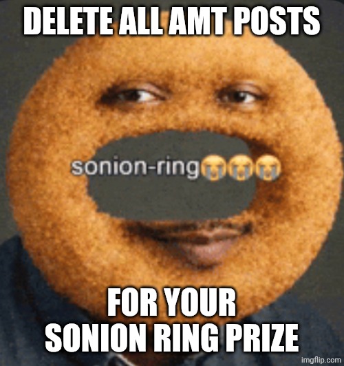 sonion ring | Delete all amt posts; For your sonion ring prize | image tagged in sonion ring | made w/ Imgflip meme maker