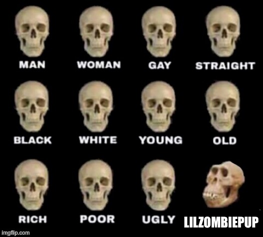 idiot skull | Lilzombiepup | image tagged in idiot skull | made w/ Imgflip meme maker