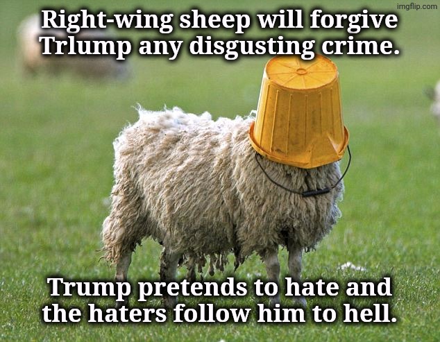 Trump is a legal and moral criminal. MAGA is breaking apart. | Right-wing sheep will forgive Trlump any disgusting crime. Trump pretends to hate and the haters follow him to hell. | image tagged in stupid sheep,trump,morality,criminal,maga | made w/ Imgflip meme maker