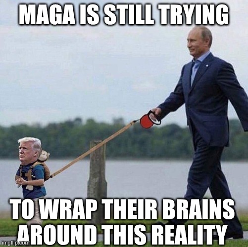 maga is still trying to wrap their brains around this reality | image tagged in putin trump leash | made w/ Imgflip meme maker