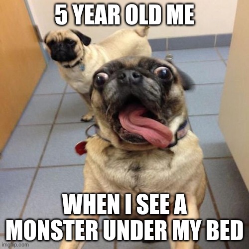 me scared | 5 year old me; when I see a monster under my bed | image tagged in overly excited pug | made w/ Imgflip meme maker