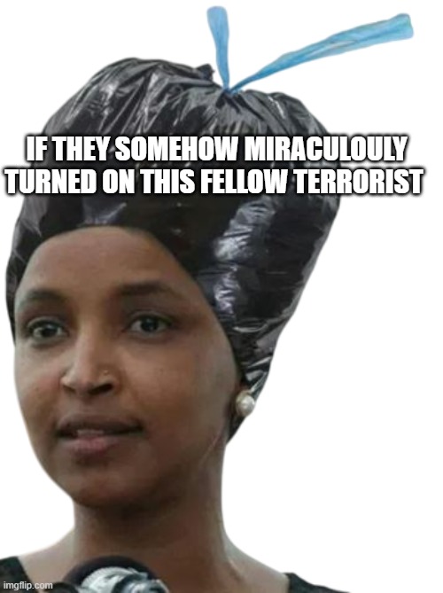 If they somehow MIRACULOULY turned on this fellow terrorist | made w/ Imgflip meme maker