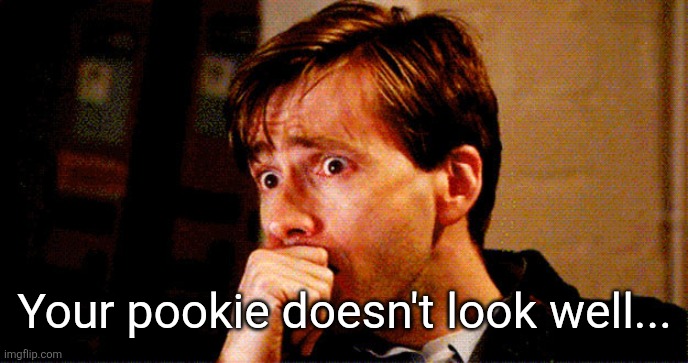 Concerned Look | Your pookie doesn't look well... | image tagged in concerned look | made w/ Imgflip meme maker