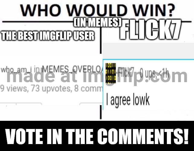 Who Would Win? | flick7; (In memes); The best imgflip user; Vote in the comments! | image tagged in memes,who would win | made w/ Imgflip meme maker