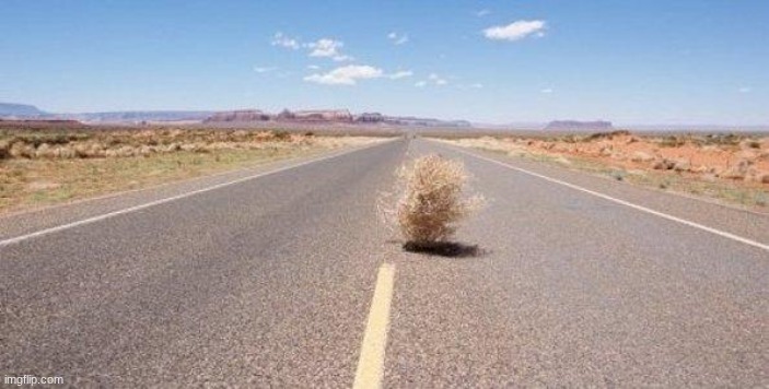 tumbleweed | image tagged in tumbleweed | made w/ Imgflip meme maker
