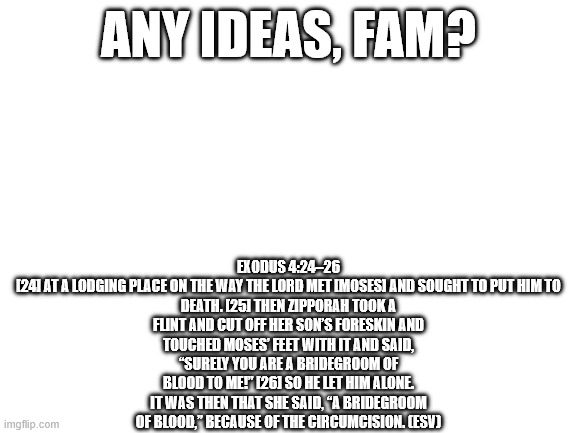 Blank White Template | Exodus 4:24–26

[24] At a lodging place on the way the LORD met [moses] and sought to put him to death. [25] Then Zipporah took a flint and cut off her son’s foreskin and touched Moses’ feet with it and said, “Surely you are a bridegroom of blood to me!” [26] So he let him alone. It was then that she said, “A bridegroom of blood,” because of the circumcision. (ESV); any ideas, fam? | image tagged in blank white template | made w/ Imgflip meme maker