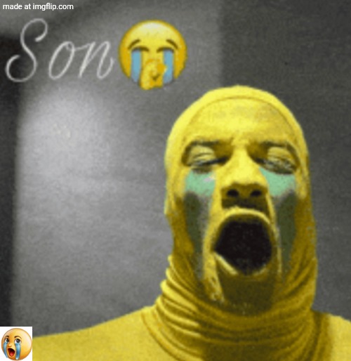 son crying | image tagged in son crying | made w/ Imgflip meme maker