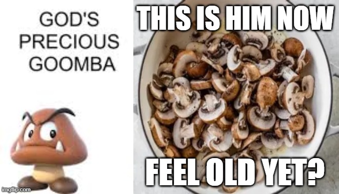 gods precious goomba | this is him now; feel old yet? | image tagged in gods precious goomba | made w/ Imgflip meme maker