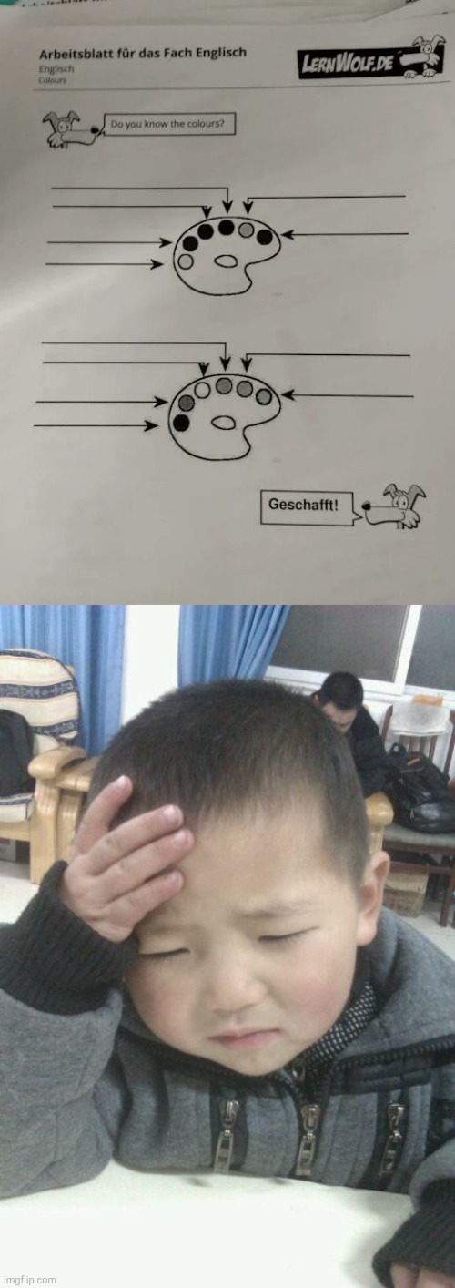 Should've been photocopied in color for it to be in a variety of colors | image tagged in frustrated student,colors,color,you had one job,memes,sheet | made w/ Imgflip meme maker