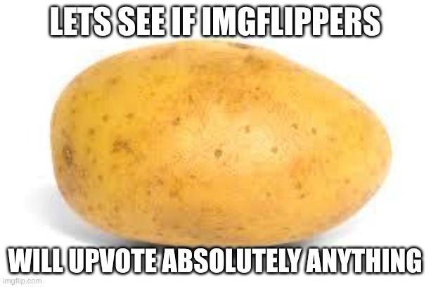 qwerty | Lets see if Imgflippers; will upvote absolutely anything | image tagged in potato | made w/ Imgflip meme maker