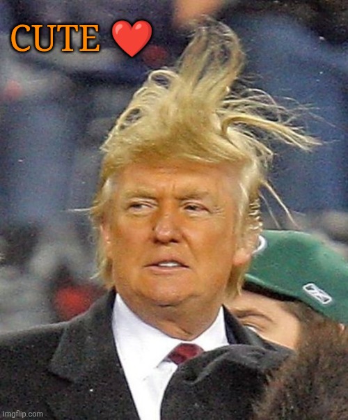 Cute Donald Trump hair ❤️ | Cute ❤️ | image tagged in donald trump | made w/ Imgflip meme maker