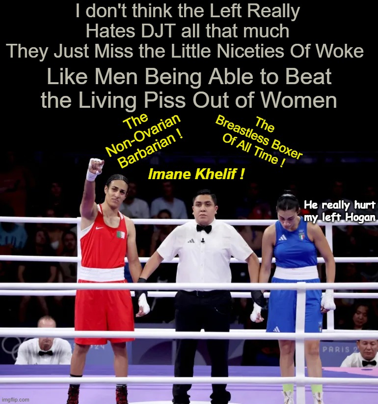 ♫ Misty water-colored memories.. of the way we were ♫ | I don't think the Left Really Hates DJT all that much
They Just Miss the Little Niceties Of Woke; Like Men Being Able to Beat the Living Piss Out of Women; The Breastless Boxer Of All Time ! The Non-Ovarian Barbarian ! Imane Khelif ! He really hurt my left Hogan | image tagged in trans boxer meme | made w/ Imgflip meme maker