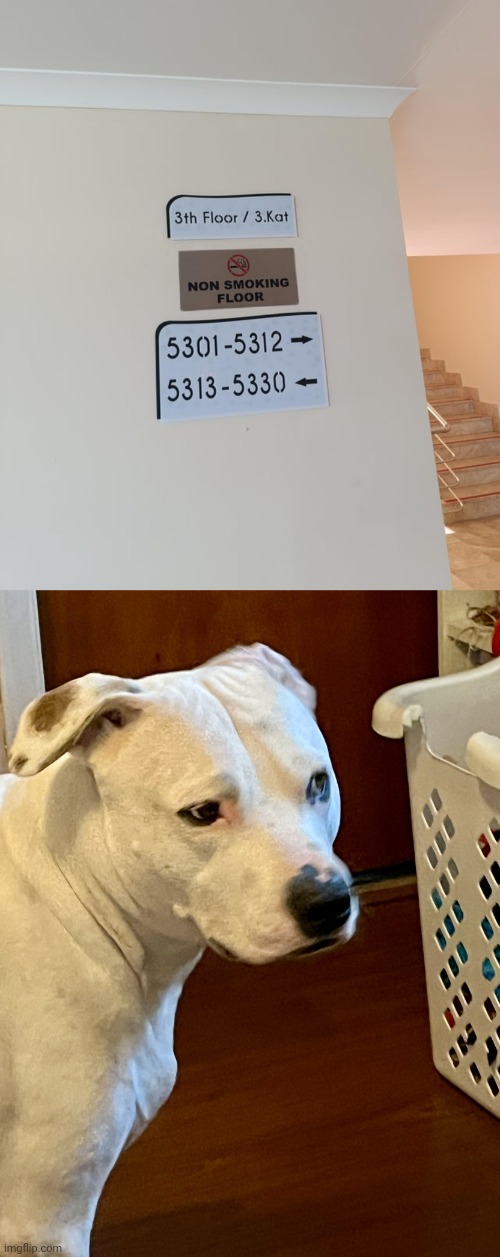"3th floor" | image tagged in wait a second,3rd floor,floor,memes,you had one job,floors | made w/ Imgflip meme maker