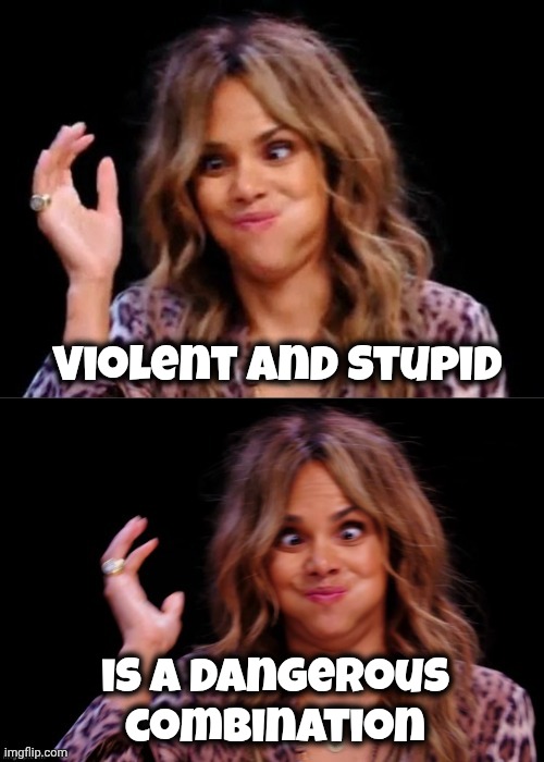 Violent and Stupid is a dangerous combination | image tagged in lovely halle berry | made w/ Imgflip meme maker