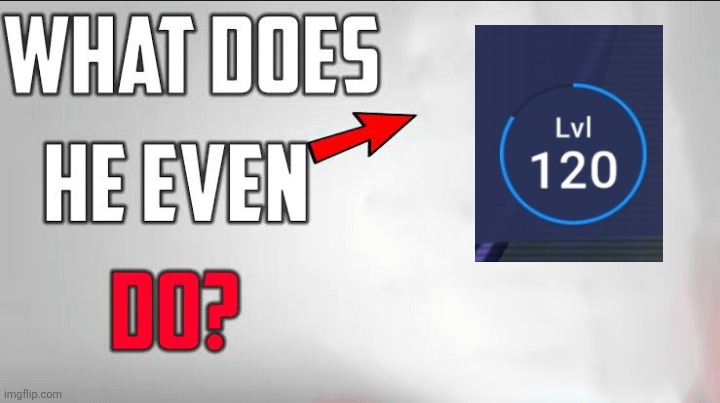 What Does He Even Do Blank Template | image tagged in what does he even do blank template | made w/ Imgflip meme maker