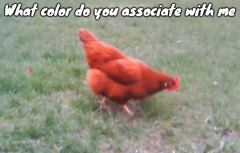 2026-04-21-19-30-12.jpg | What color do you associate with me | image tagged in 2026-04-21-19-30-12 jpg | made w/ Imgflip meme maker