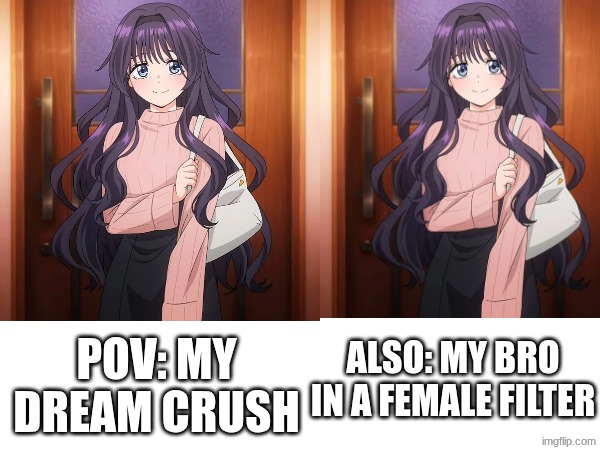 Help... | pov: My dream crush; also: My bro in a female filter | image tagged in oh god why | made w/ Imgflip meme maker