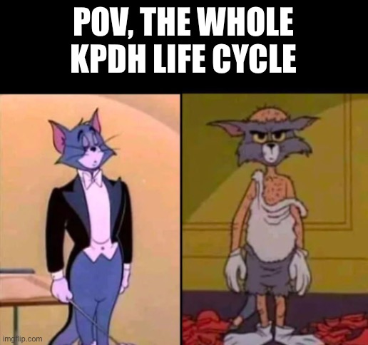 That fast? Your kidding me right? | POV, the whole KPDH life cycle | image tagged in rich tom vs poor tom | made w/ Imgflip meme maker