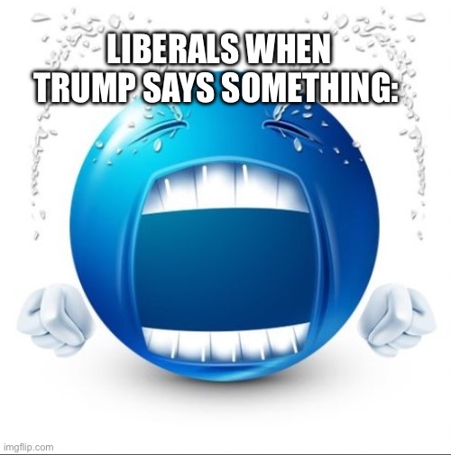 Boo hoo 2 u | Liberals when Trump says something: | image tagged in crying blue guy | made w/ Imgflip meme maker