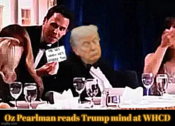 Trump at White House Correspondents Dinner asleep at the meal | image tagged in trump at white house correspondents dinner asleep at the meal,maga magic,wet daiper dream,trump caught lying in sleep | made w/ Imgflip meme maker