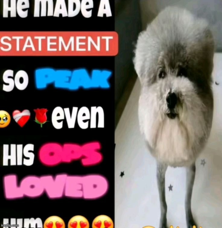 He made a statement so peak | image tagged in he made a statement so peak | made w/ Imgflip meme maker
