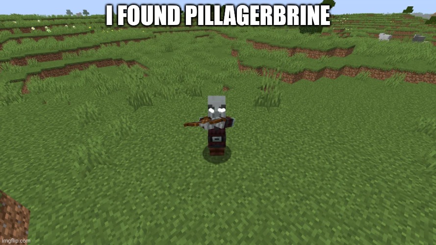 Pillagerbrine | I found pillagerbrine | image tagged in pillagerbrine | made w/ Imgflip meme maker