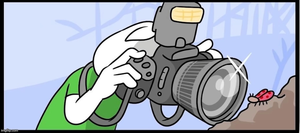 Snapshot | image tagged in 12 | made w/ Imgflip meme maker