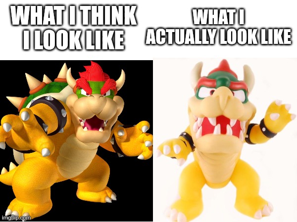 I'm ugly(: | What I actually look like; What I think I look like | image tagged in bowser,bootleg,super mario,ugly | made w/ Imgflip meme maker