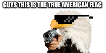 If i get 2000 upvotes I will ask out my crush | Guys this is the true American flag | image tagged in america,funny | made w/ Imgflip meme maker