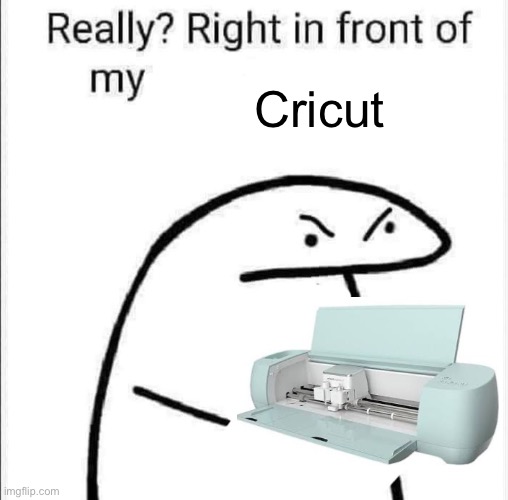 In front of my Cricut? | Cricut | image tagged in really right in front of my | made w/ Imgflip meme maker