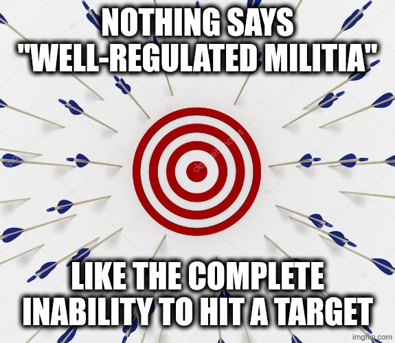 Missed the target | Nothing says "well-regulated militia"; Like the complete inability to hit a target | image tagged in missed the target | made w/ Imgflip meme maker