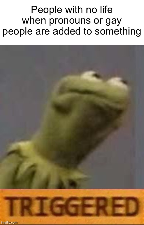 Shut up bro.. | People with no life when pronouns or gay people are added to something | image tagged in kermit triggered | made w/ Imgflip meme maker