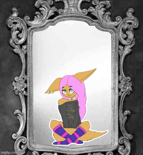 image tagged in mirror | made w/ Imgflip meme maker