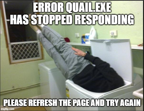 HAHAHAH- wait y am i laughing | Error quail.exe has stopped responding; please refresh the page and try again | image tagged in instructions unclear,oops | made w/ Imgflip meme maker