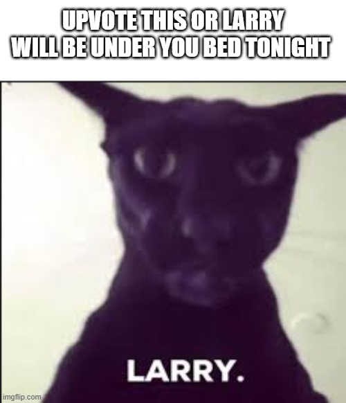 Larry is always watching from the shadows... | upvote this or larry will be under you bed tonight | image tagged in larry,oh no cat,cats | made w/ Imgflip meme maker