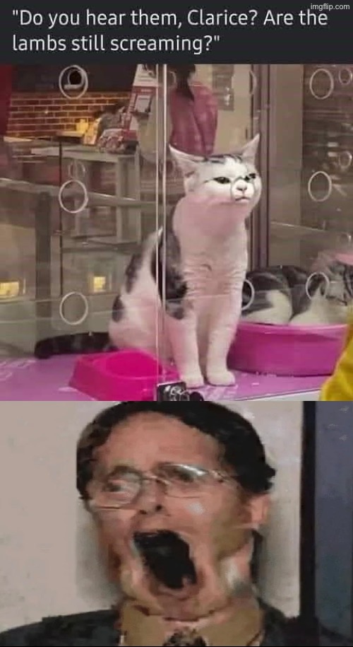 Hannibal Lecter: Cat Edition | image tagged in cats,funny cats,hannibal lecter,reactions,silence of the lambs,kill you cat | made w/ Imgflip meme maker