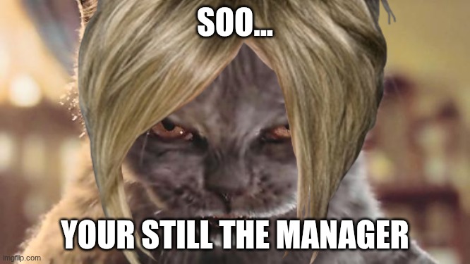 Evil Cat | soo... your still the manager | image tagged in evil cat | made w/ Imgflip meme maker