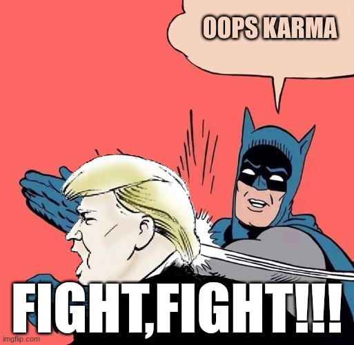 OOF | oops karma; Fight,fight!!! | image tagged in batman slaps trump | made w/ Imgflip meme maker