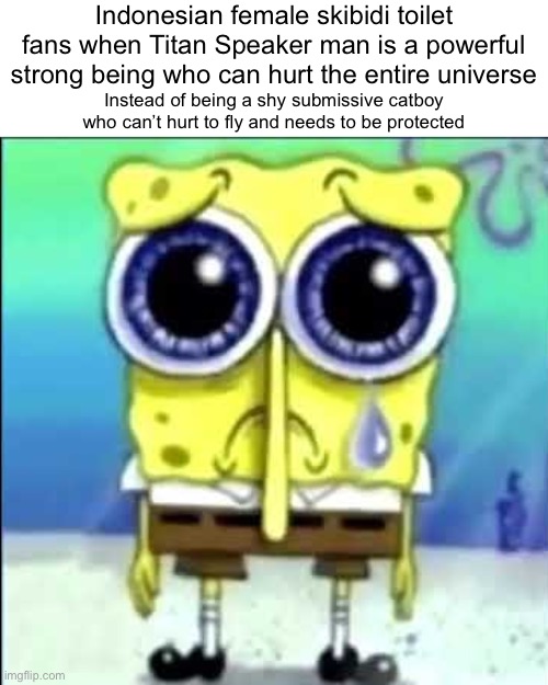Not at all of them some of them used titan speakerman as a big strong muscle man | Indonesian female skibidi toilet fans when Titan Speaker man is a powerful strong being who can hurt the entire universe; Instead of being a shy submissive catboy who can’t hurt to fly and needs to be protected | image tagged in sad spongebob,skibidi toilet | made w/ Imgflip meme maker