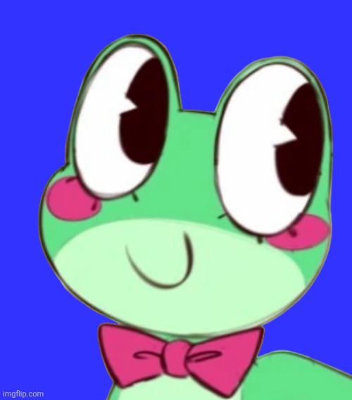 Ribbit’s Face | image tagged in ribbit s face | made w/ Imgflip meme maker