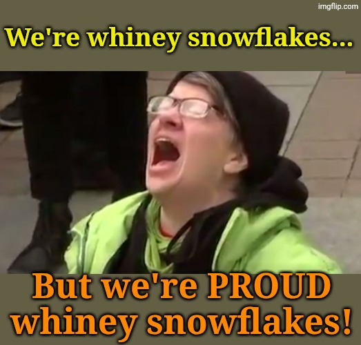 Screaming Liberal  | We're whiney snowflakes... But we're PROUD whiney snowflakes! | image tagged in screaming liberal | made w/ Imgflip meme maker