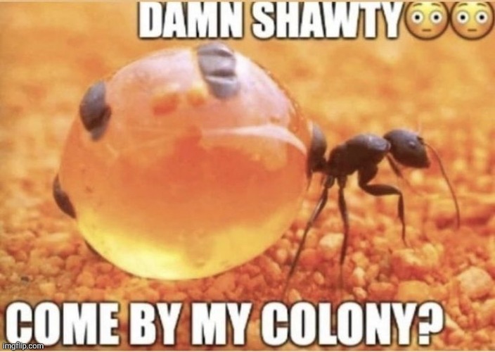 3ed75f47-40f7-4e74-adee-9379970229fb.jpeg | image tagged in 3ed75f47-40f7-4e74-adee-9379970229fb jpeg | made w/ Imgflip meme maker