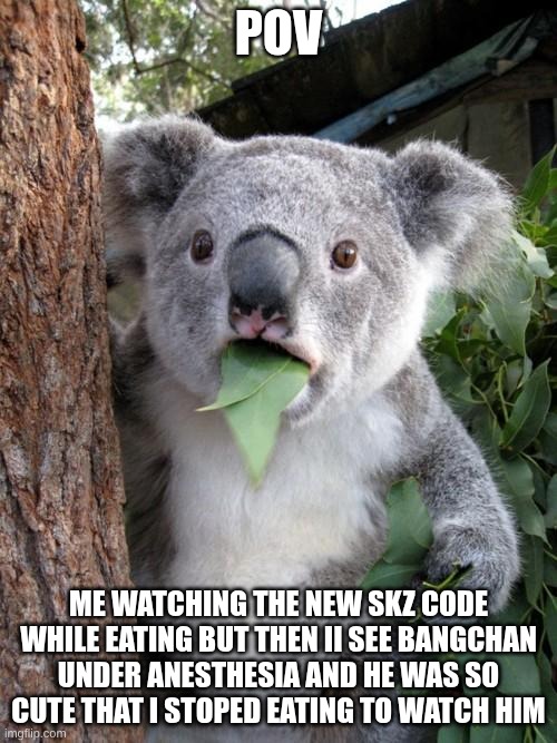 pox | Pov; me watching the new SKZ code while eating but then Ii see Bangchan under anesthesia and he was so cute that I stoped eating to watch him | image tagged in memes,surprised koala | made w/ Imgflip meme maker