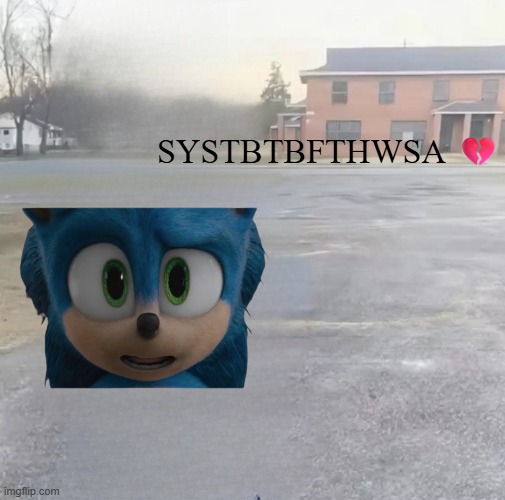Well I don't see the appeal ? | SYSTBTBFTHWSA 💔 | image tagged in blank sybau maker,sonic the hedgehog | made w/ Imgflip meme maker