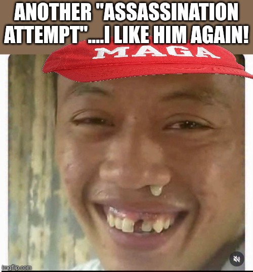 We love him again! | Another "assassination attempt"....I like him again! | image tagged in donald trump,trump,maga,trump supporters,shooting,nevertrump | made w/ Imgflip meme maker