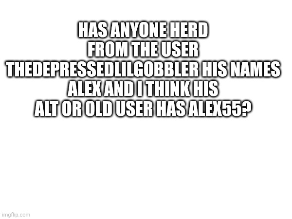 Has anyone herd from the user Thedepressedlilgobbler his names Alex and I think his alt or old user has Alex55? | made w/ Imgflip meme maker