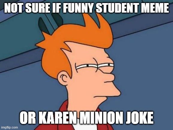 Futurama Fry Meme | not sure if funny student meme or karen minion joke | image tagged in memes,futurama fry | made w/ Imgflip meme maker