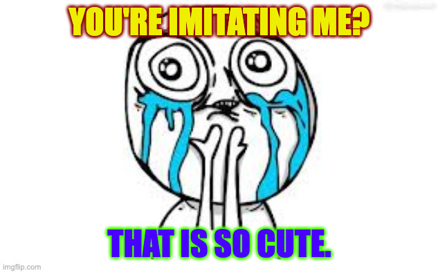 Crying Because Of Cute Meme | you're imitating me? that is so cute. | image tagged in memes,crying because of cute | made w/ Imgflip meme maker