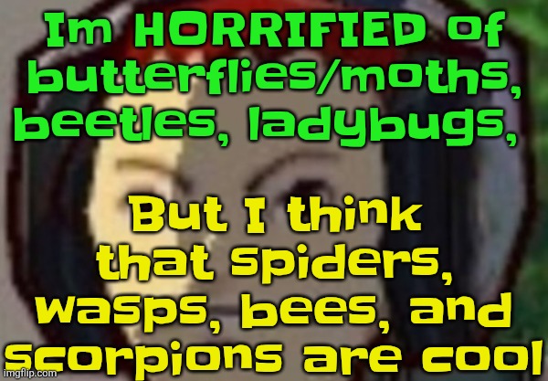 My bug survival compass is backwards | But I think that spiders, wasps, bees, and scorpions are cool; Im HORRIFIED of butterflies/moths, beetles, ladybugs, | made w/ Imgflip meme maker