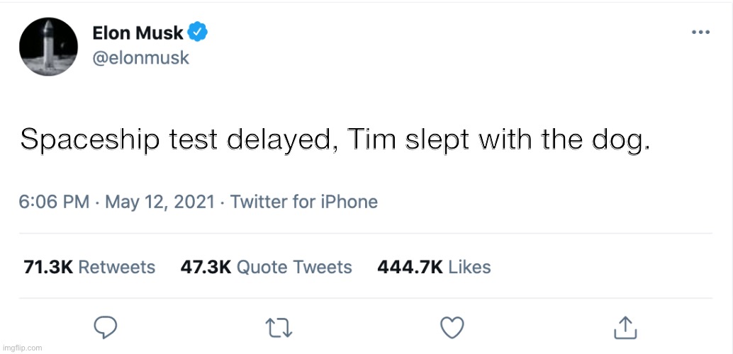 Elon Musk Blank Tweet | Spaceship test delayed, Tim slept with the dog. | image tagged in elon musk blank tweet | made w/ Imgflip meme maker